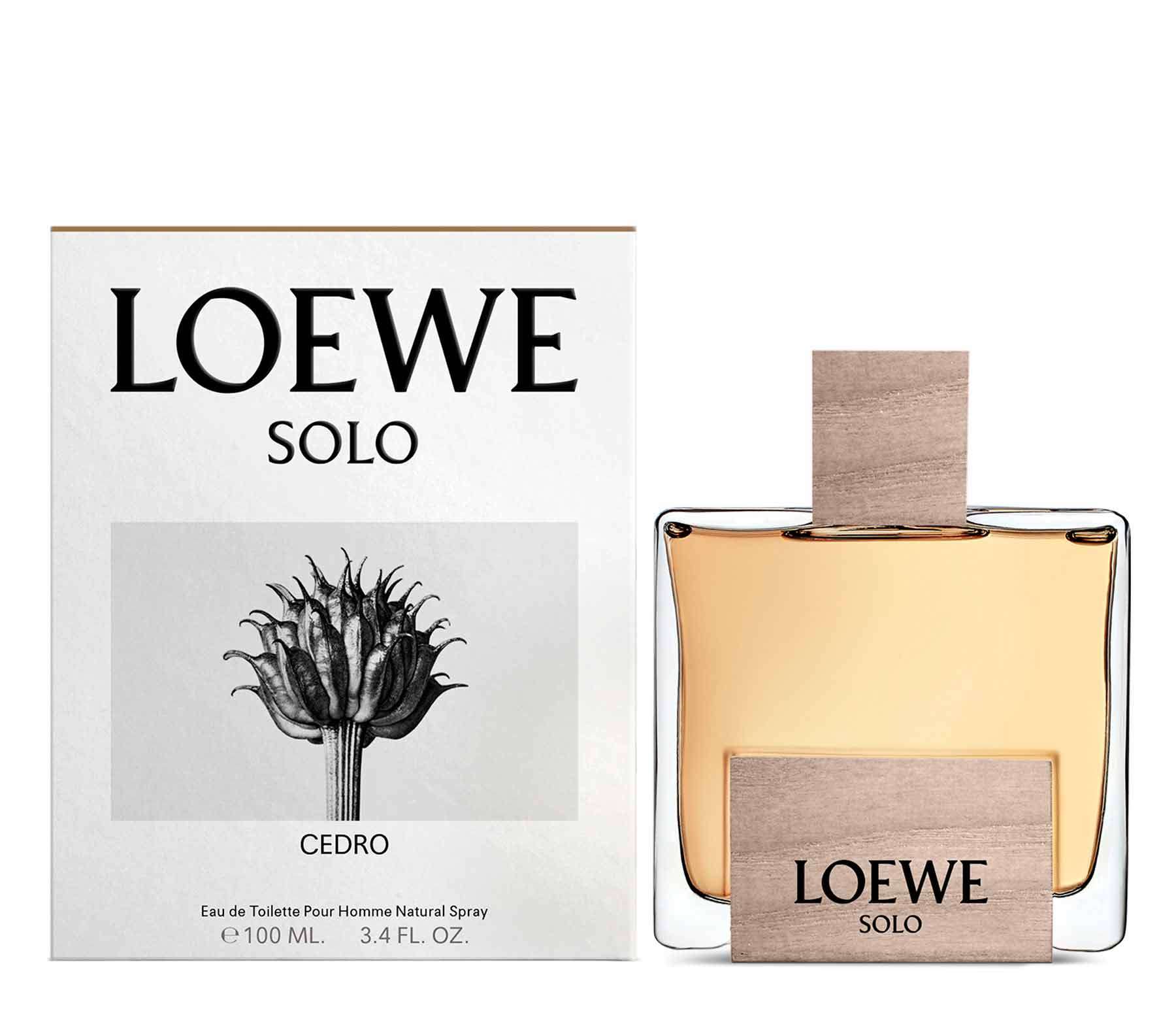 solo loewe pour homme